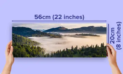 8x22 photo printing / 50% off & next day delivery - 8x22
