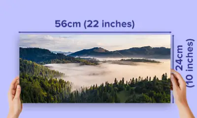 10x22 photo printing / 50% off & next day delivery - 10x22