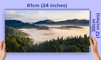 12x24 photo printing / 50% off & next day delivery - 12x24